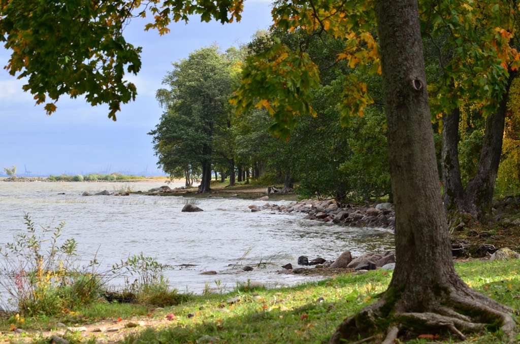 Nikon D5100 sample photo