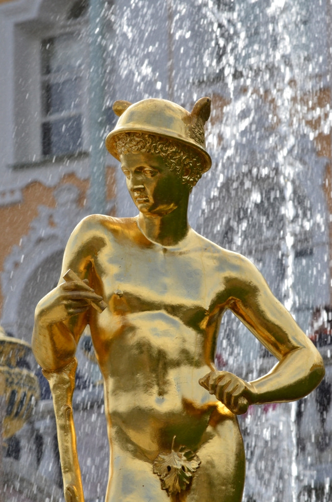 Nikon D5100 sample photo