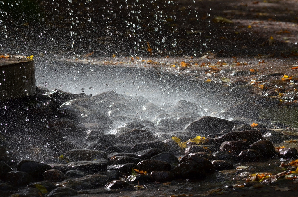 Nikon D5100 sample photo