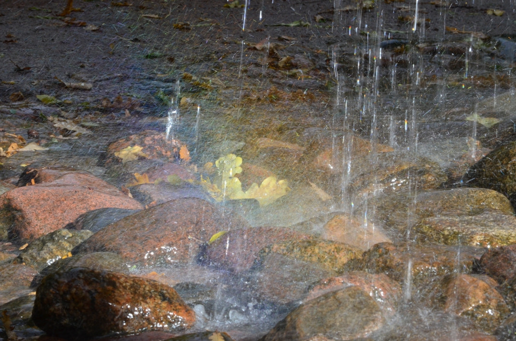 Nikon D5100 sample photo