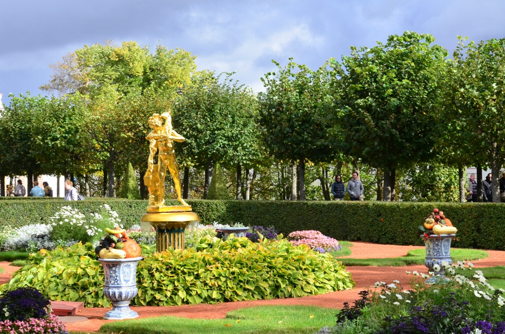 Nikon D5100 sample photo