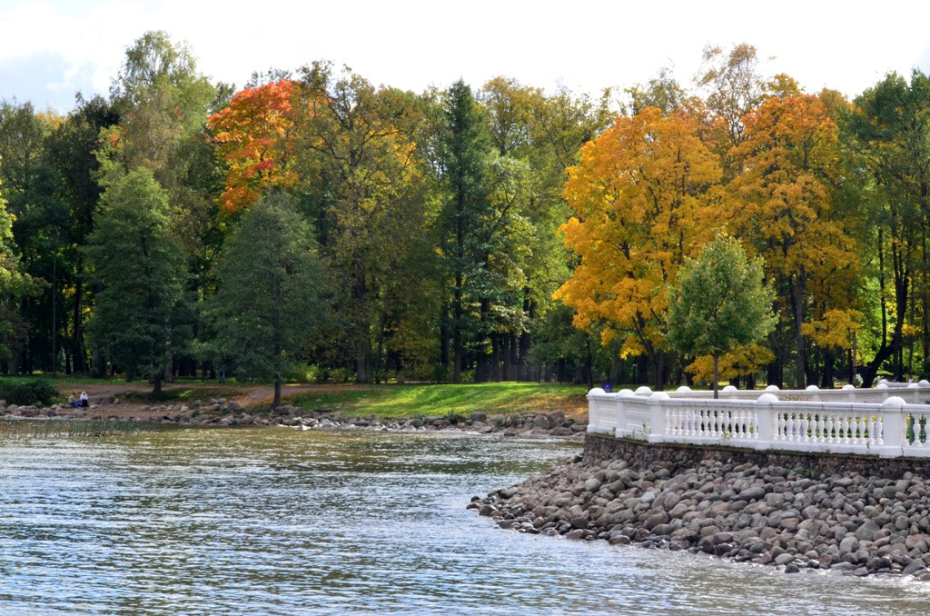 Nikon D5100 sample photo