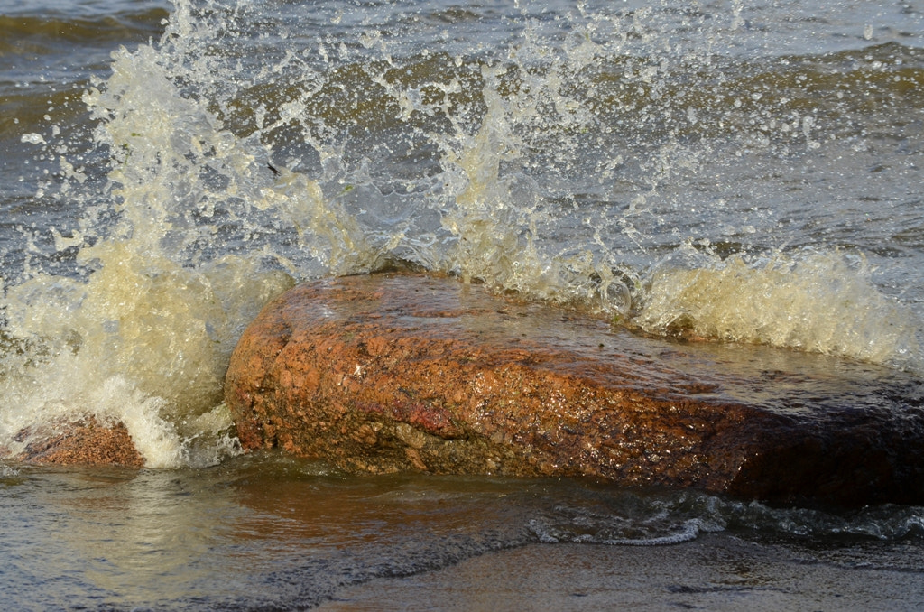 Nikon D5100 sample photo