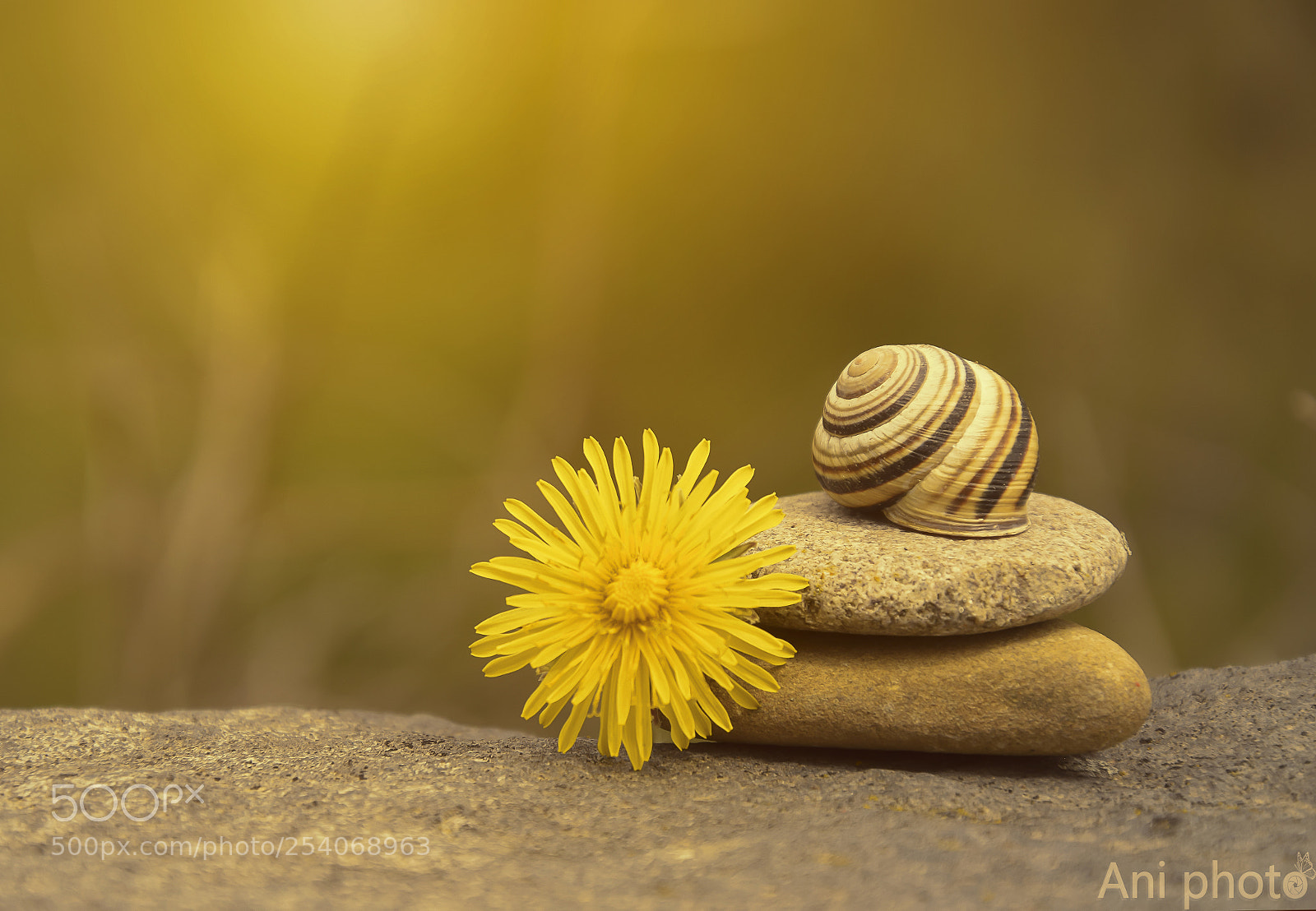 Nikon D5300 sample photo. Feng shui photography