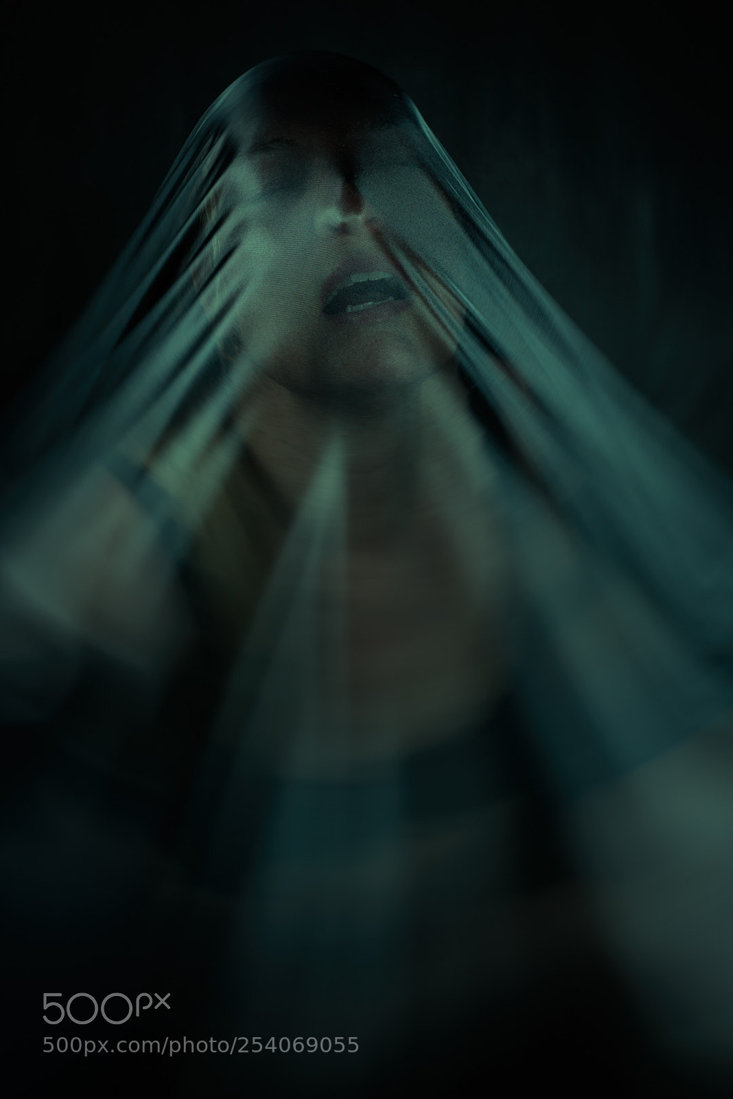 Nikon D800 sample photo. Cloth photography