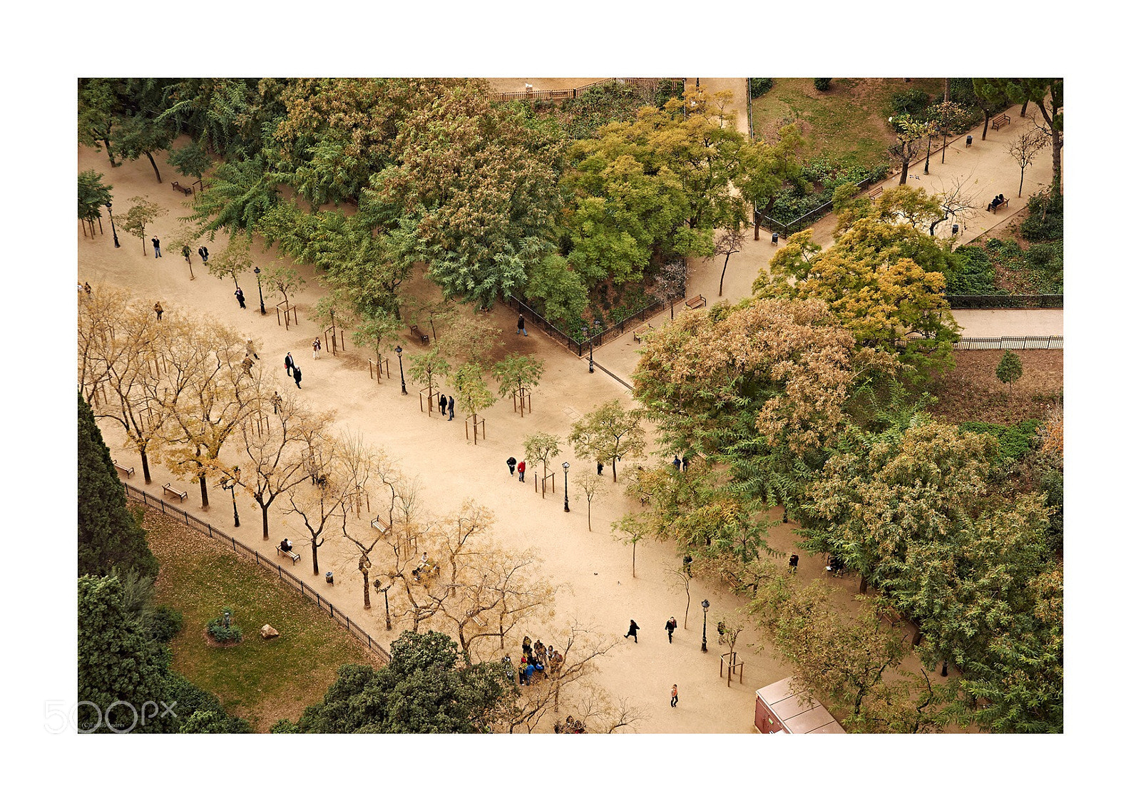 Nikon D700 sample photo. Paseo.  photography