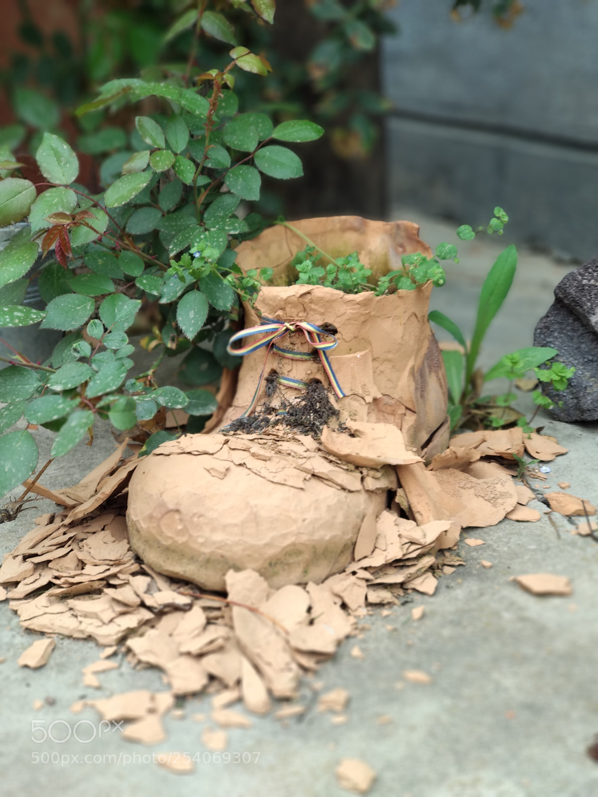 Xiaomi Mi A1 sample photo. Petrified boot photography