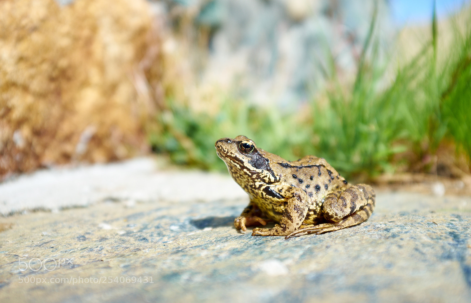 Fujifilm X100S sample photo. Hike in parco naturale photography
