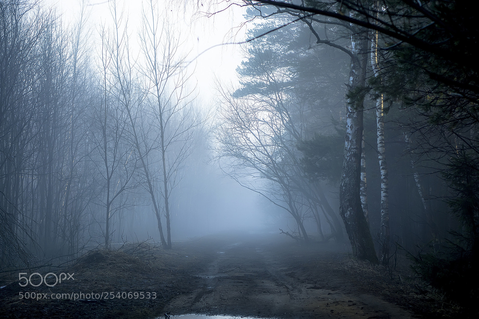 Sony a6000 sample photo. Fog photography
