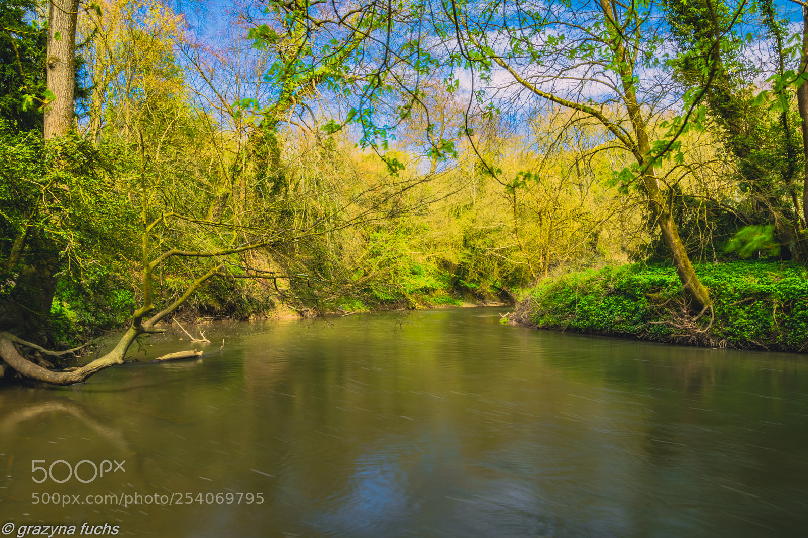Nikon D3300 sample photo. Box hill riverside walk photography