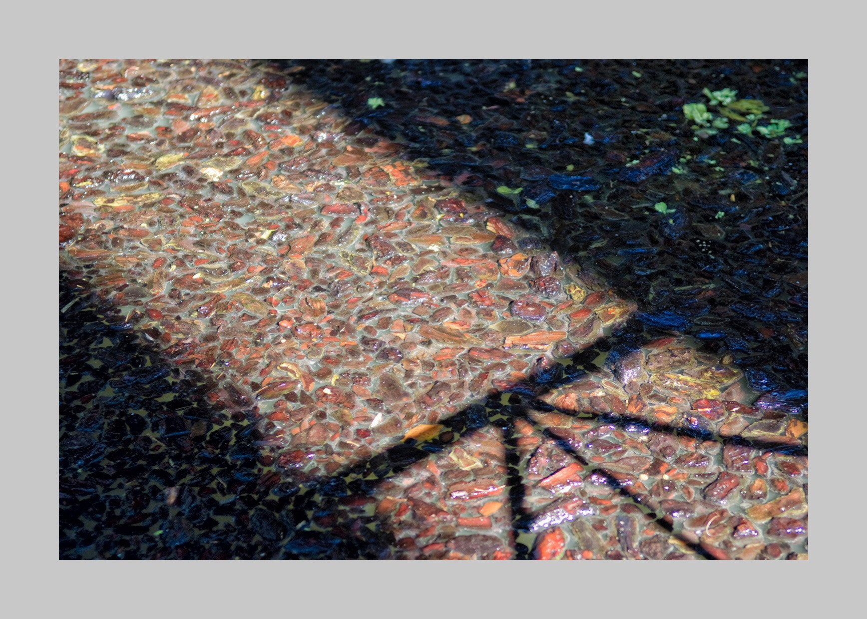 Fujifilm FinePix S5 Pro sample photo. Sombras  photography