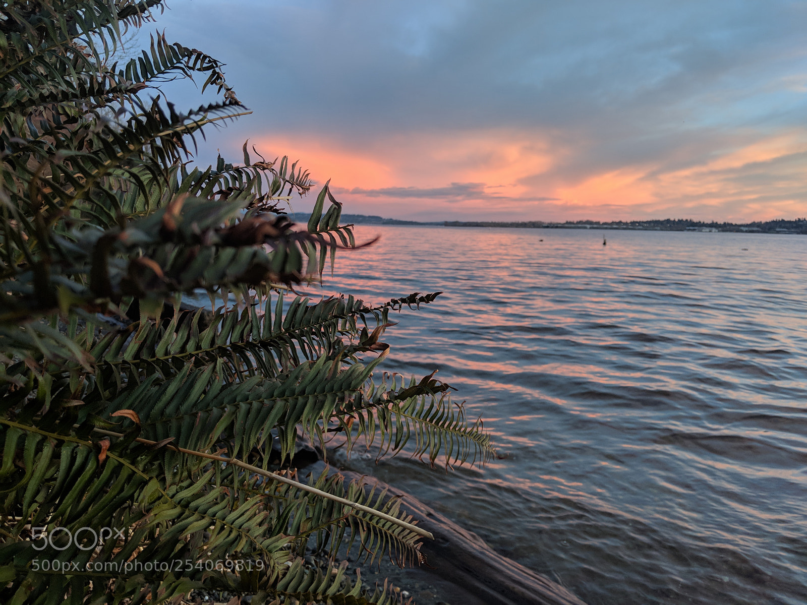 Google Pixel 2 sample photo. Sunset on lake washington photography