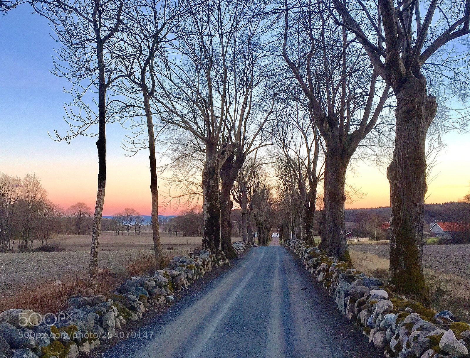 Apple iPhone 6 Plus sample photo. Evening road photography