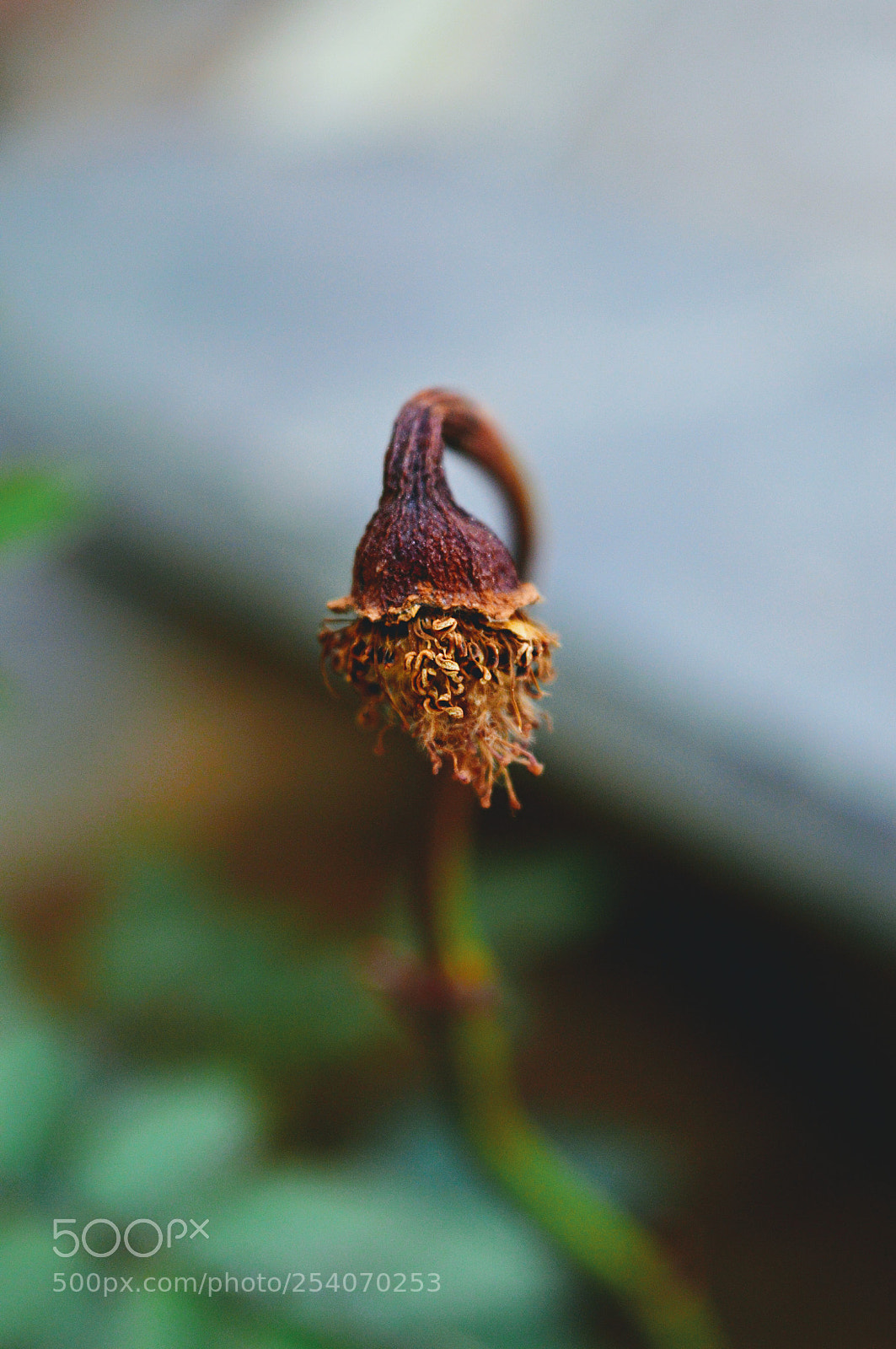 Nikon D3200 sample photo. Untitled photography