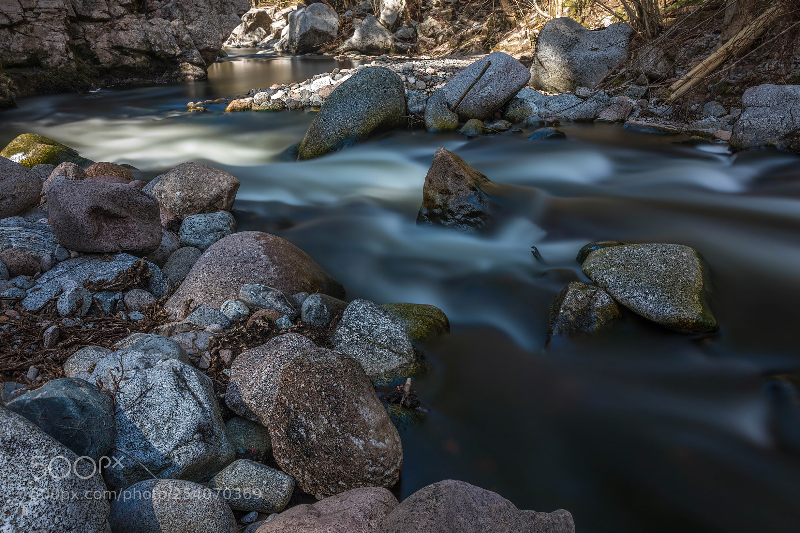 Canon EOS 5D Mark IV sample photo. Untitled photography