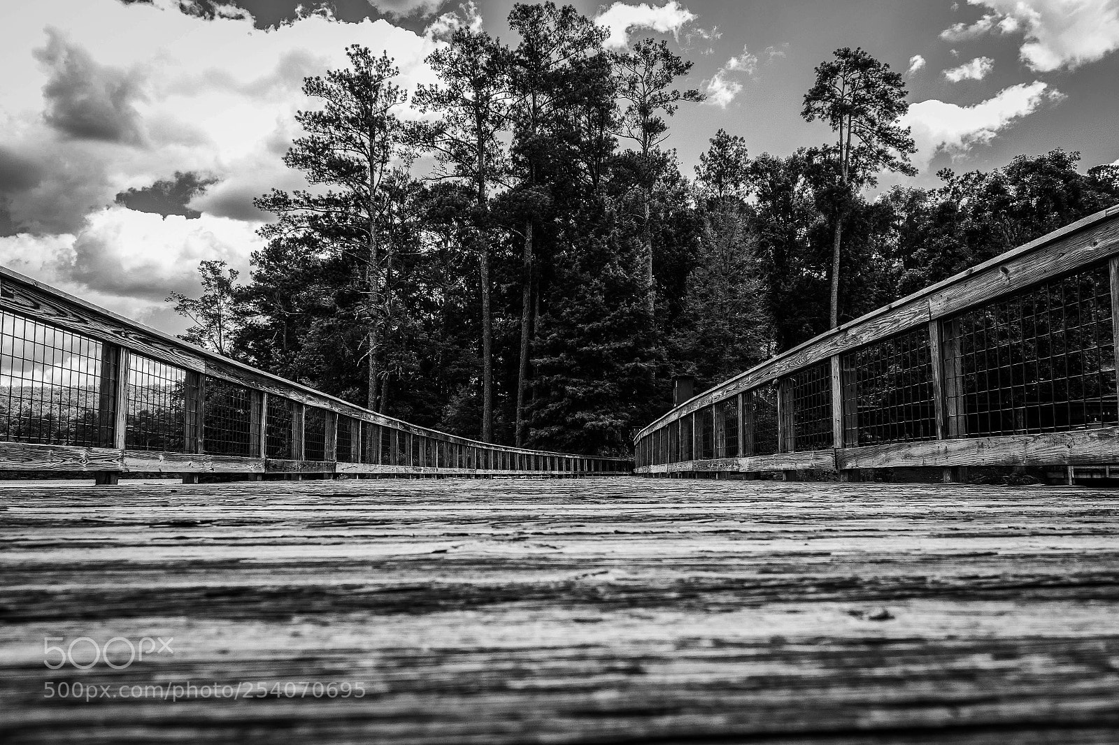 Canon EOS 1200D (EOS Rebel T5 / EOS Kiss X70 / EOS Hi) sample photo. Callaway gardens boardwalk photography