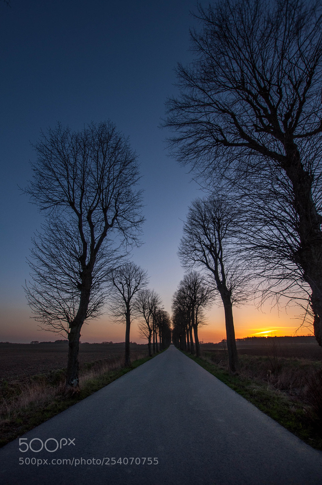 Nikon D90 sample photo. Sunset photography