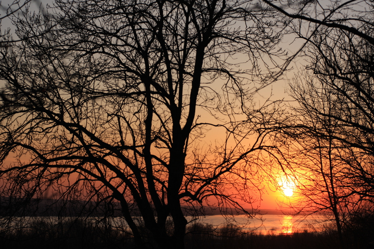 Canon EF 35-80mm f/4-5.6 sample photo. Evening farewell photography