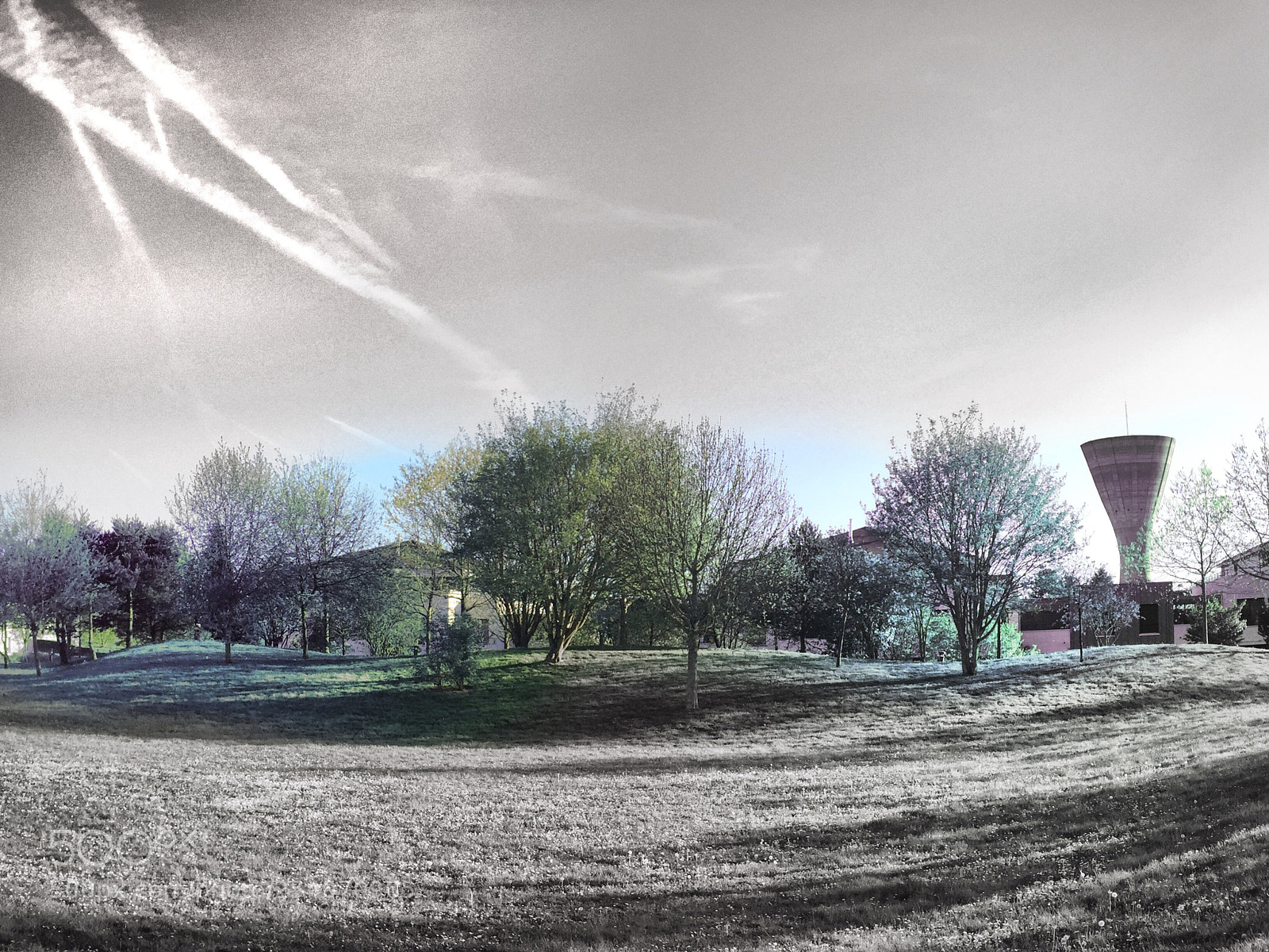 Apple iPhone 6 sample photo. Avenue andre photography