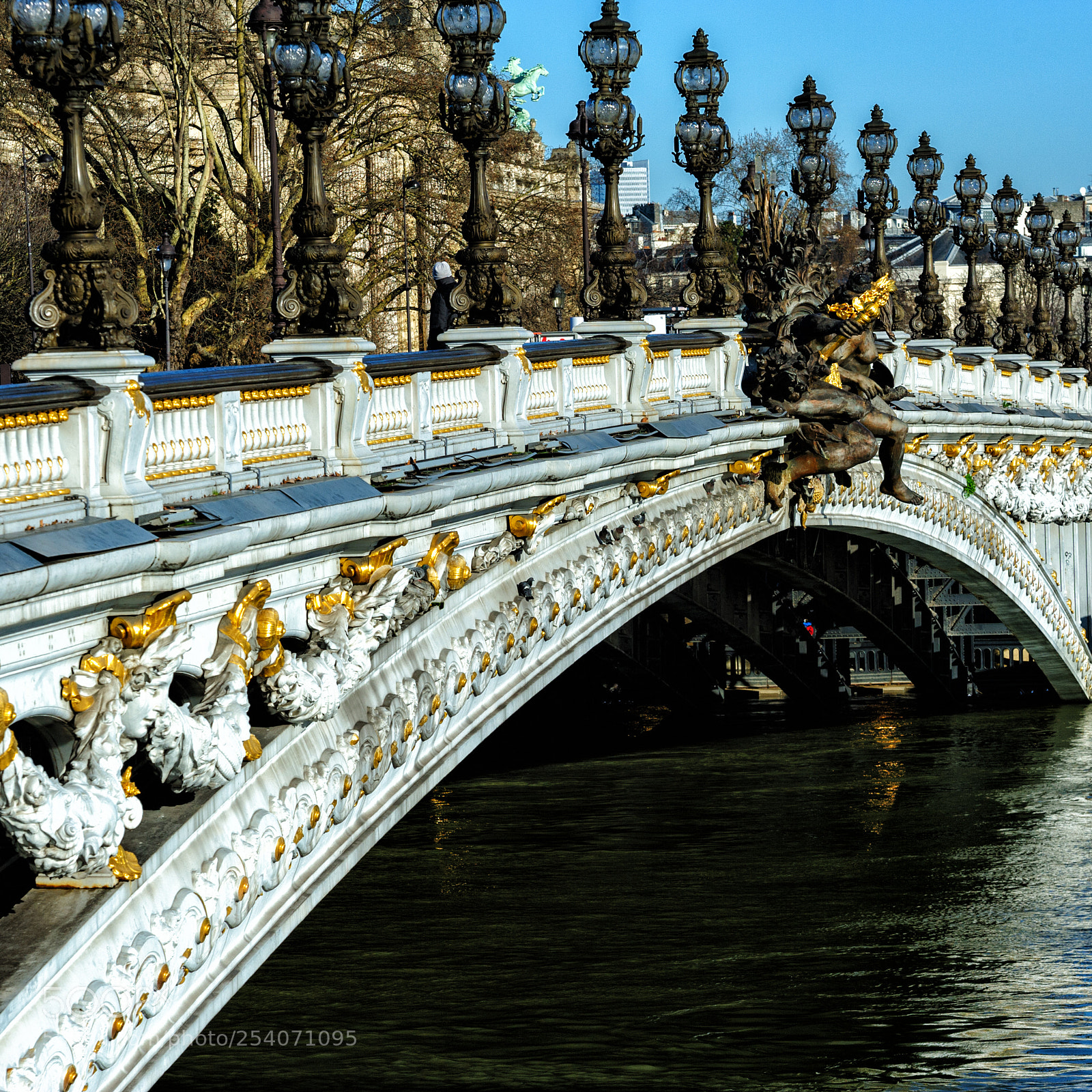 Nikon D700 sample photo. Pont alexandre iii photography