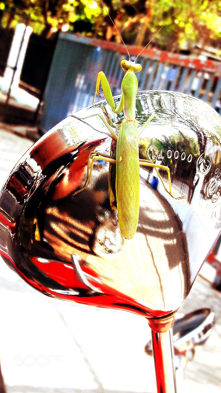 Samsung Galaxy A5(2016) sample photo. #grasshopper #rides! photography