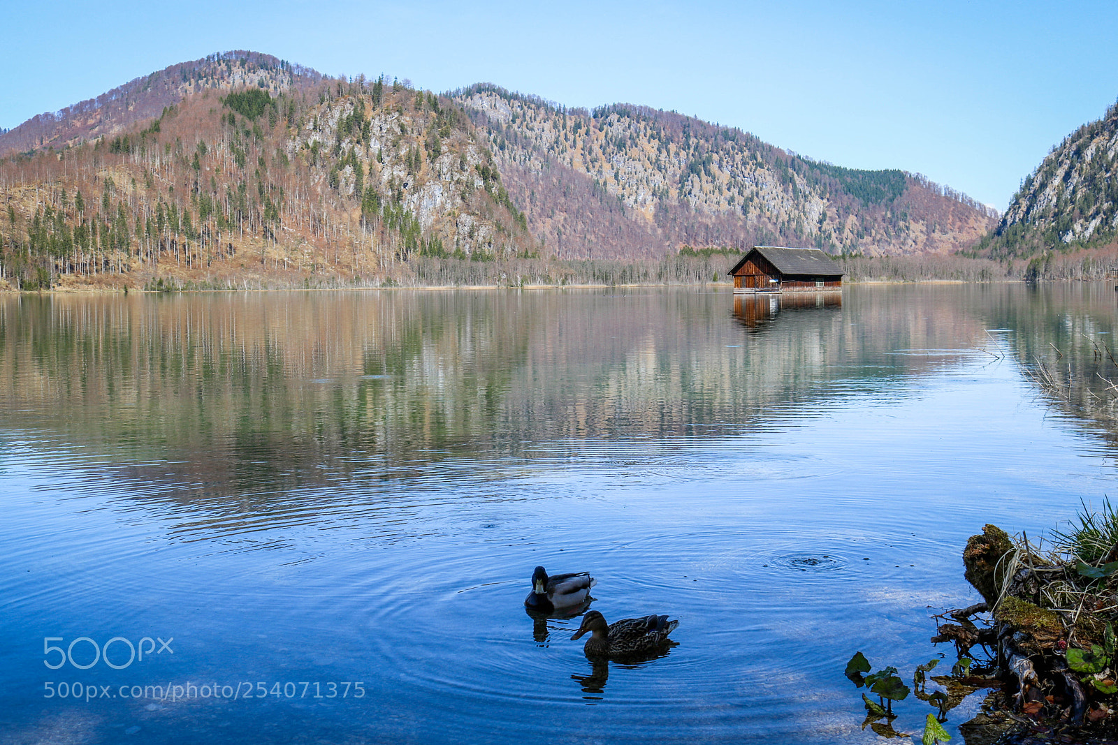 Canon EOS 750D (EOS Rebel T6i / EOS Kiss X8i) sample photo. Plauderstunde... photography