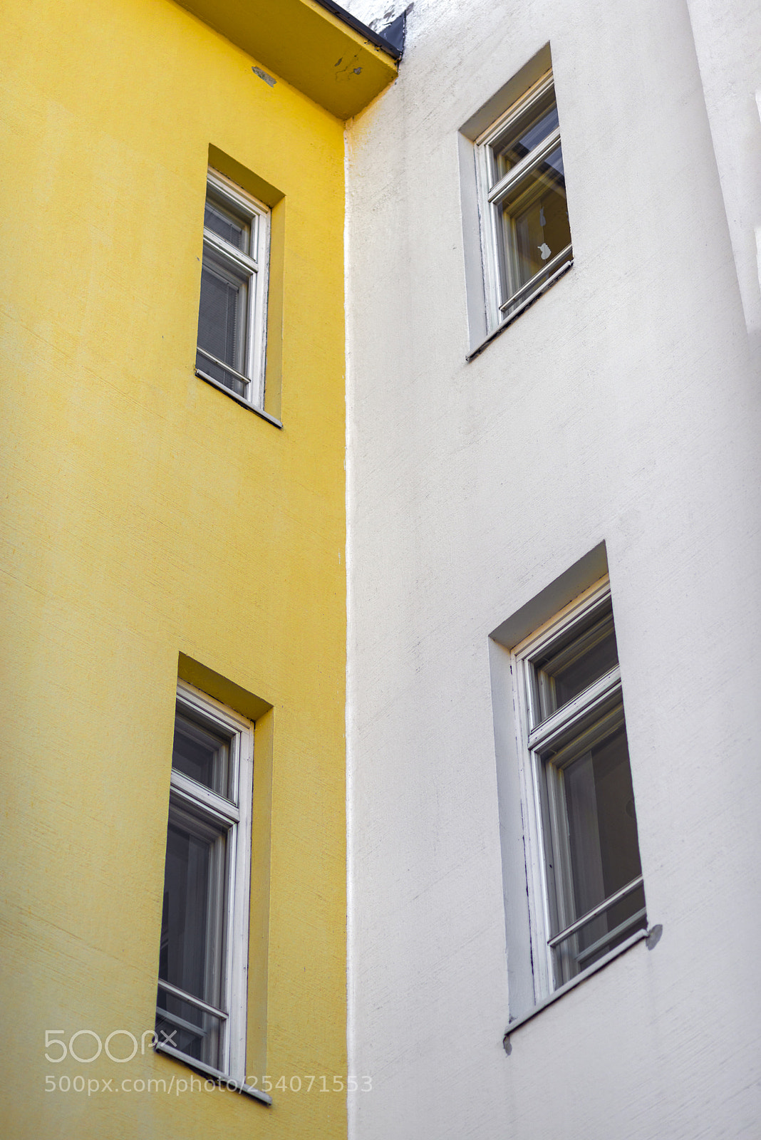Nikon D600 sample photo. Contrast photography