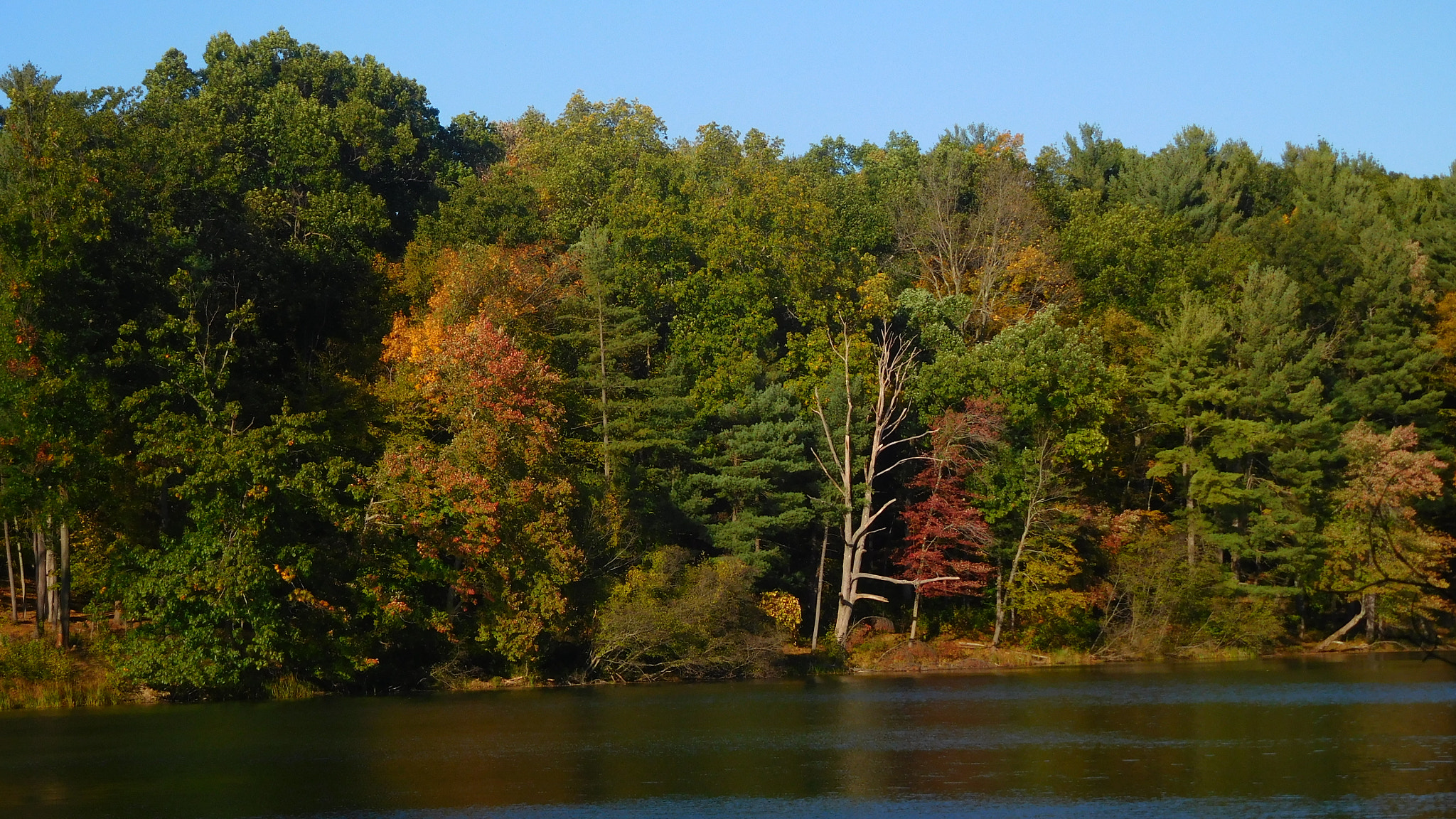Nikon Coolpix S7000 sample photo. Autumn lake photography