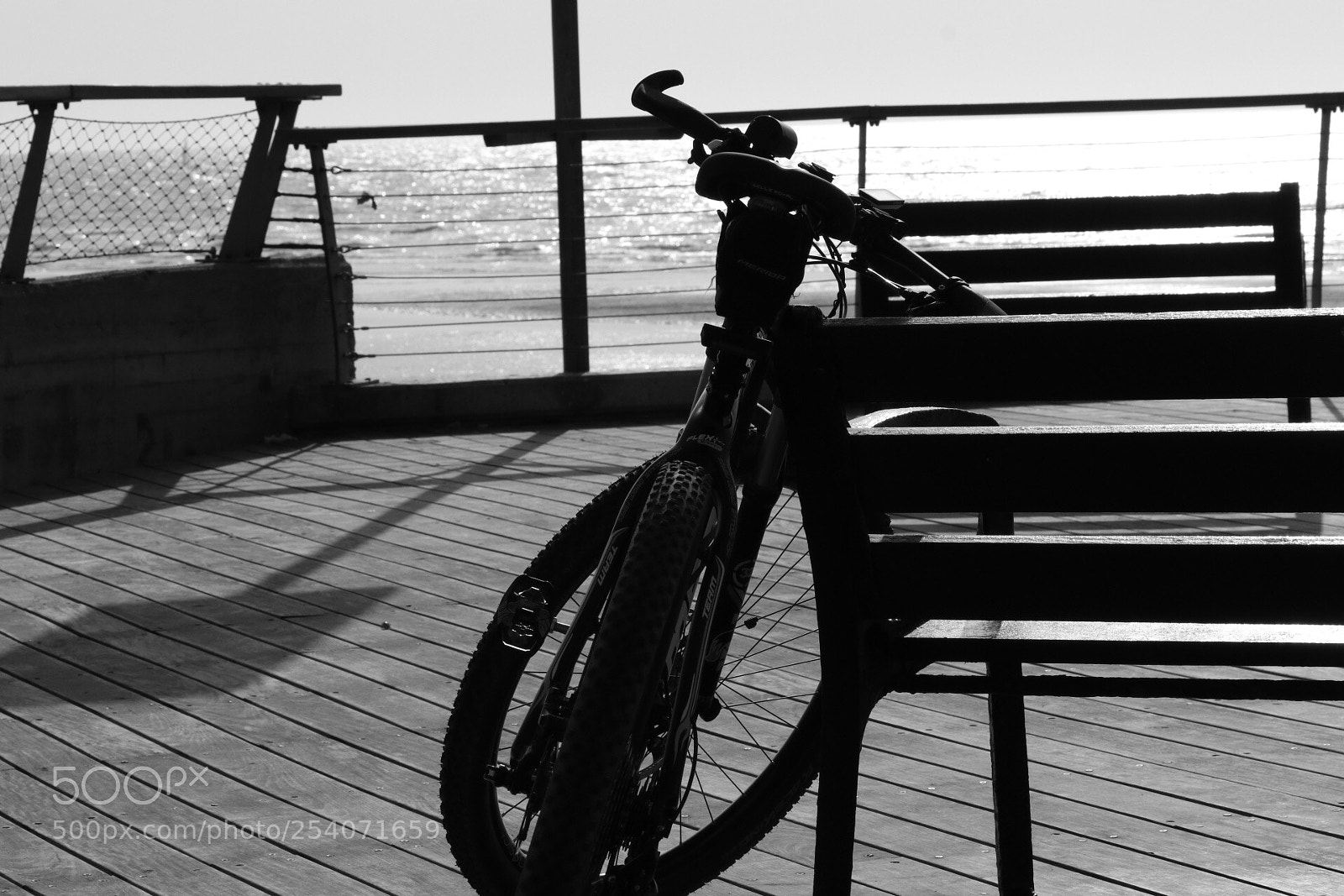 Canon EOS 80D sample photo. Untitled photography