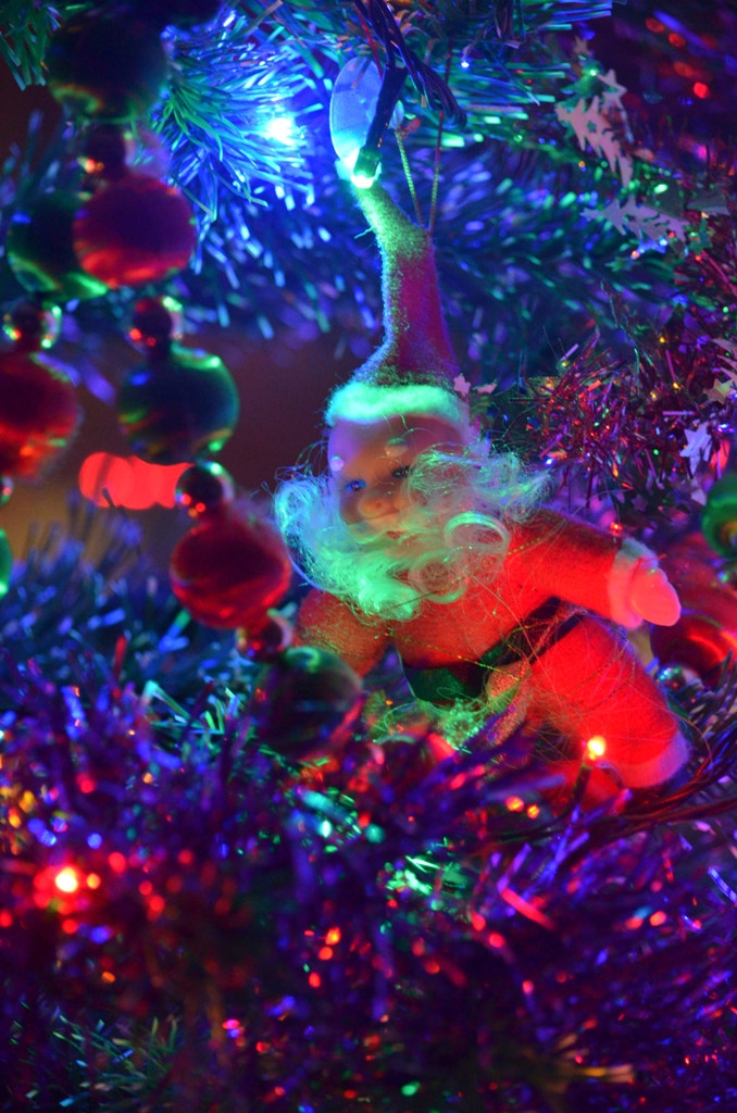 Nikon D5100 sample photo
