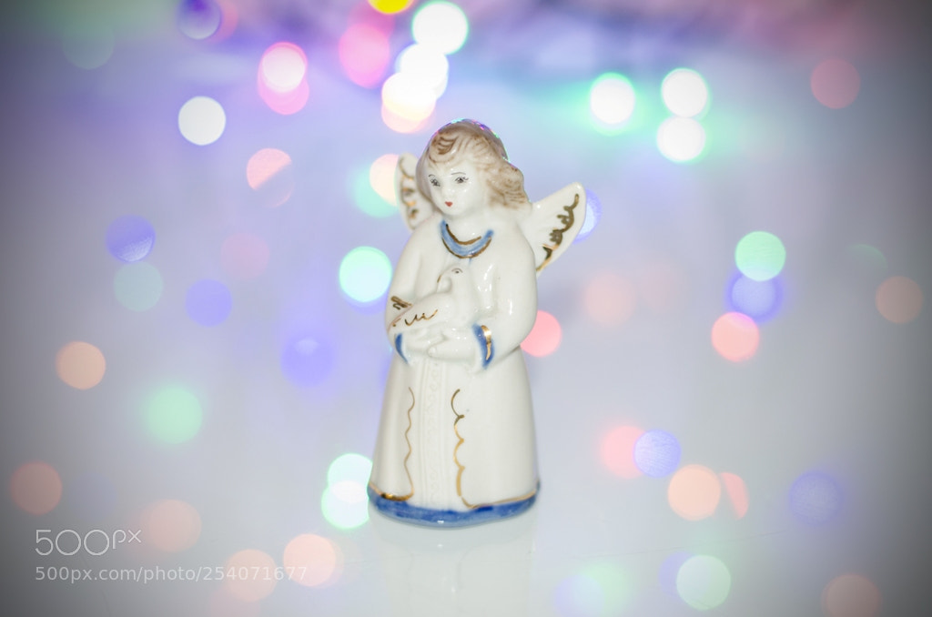 Nikon D5100 sample photo. Untitled photography