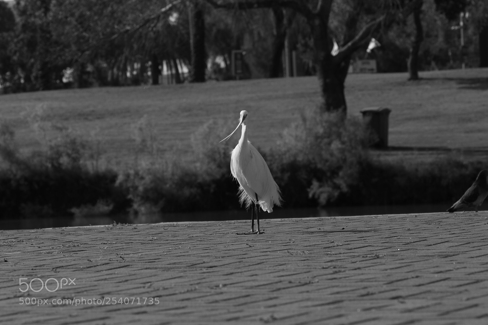 Canon EOS 80D sample photo. Untitled photography