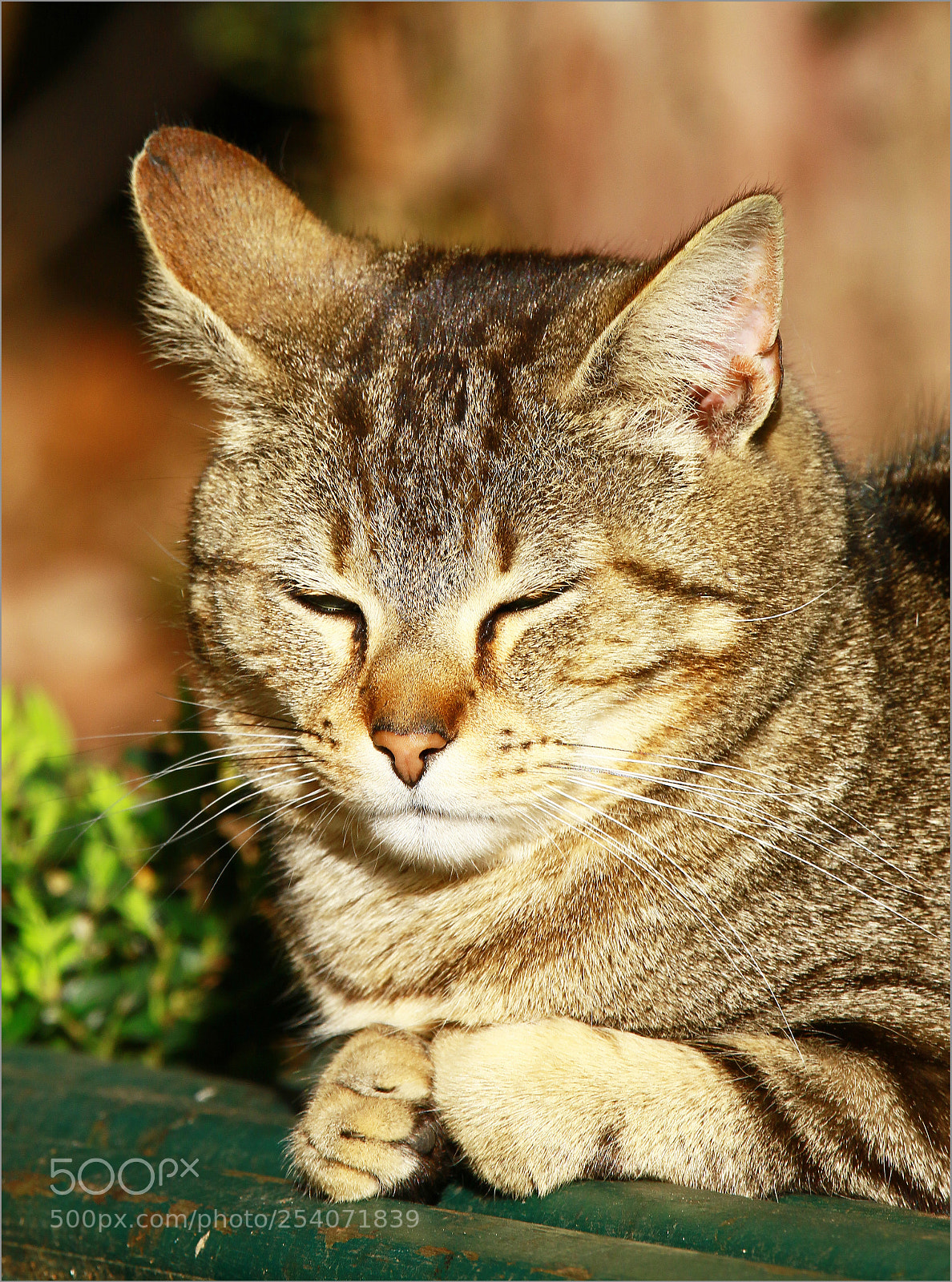 Canon EOS 7D Mark II sample photo. 0.jpg photography