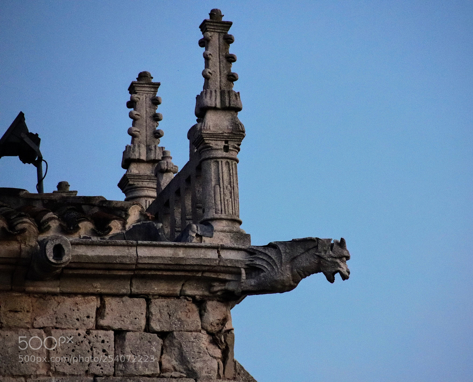Canon EOS 77D (EOS 9000D / EOS 770D) sample photo. Gargoyle photography