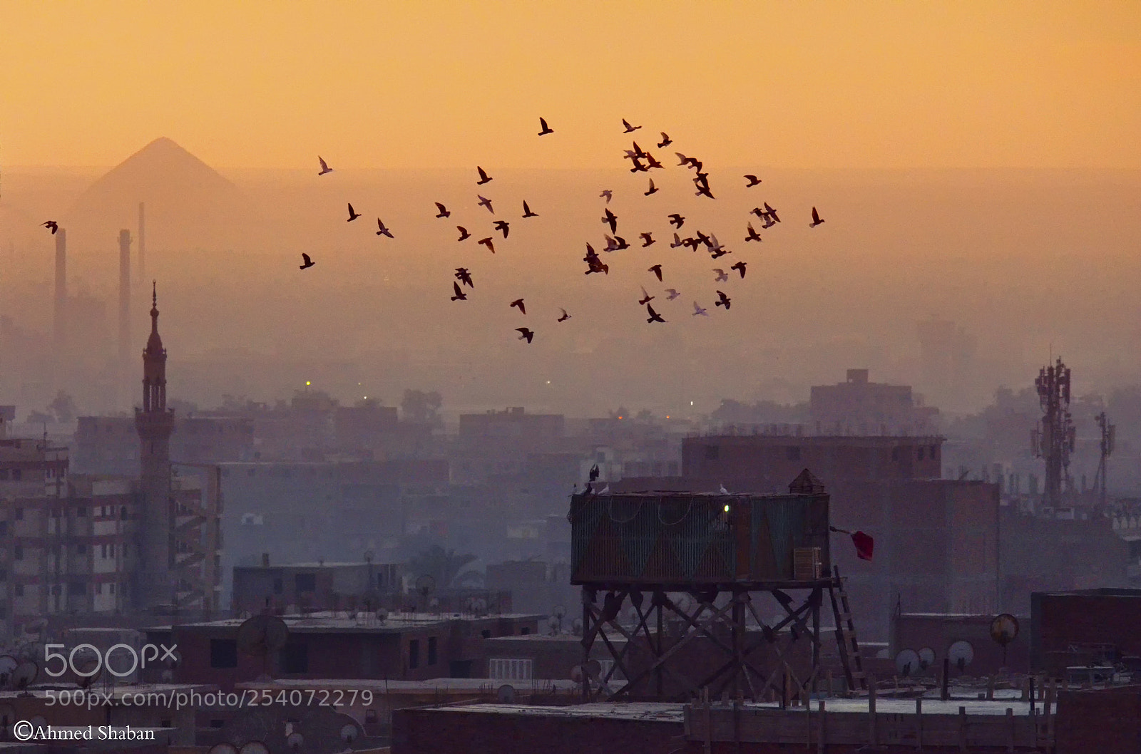 Nikon D7000 sample photo. Egypt photography