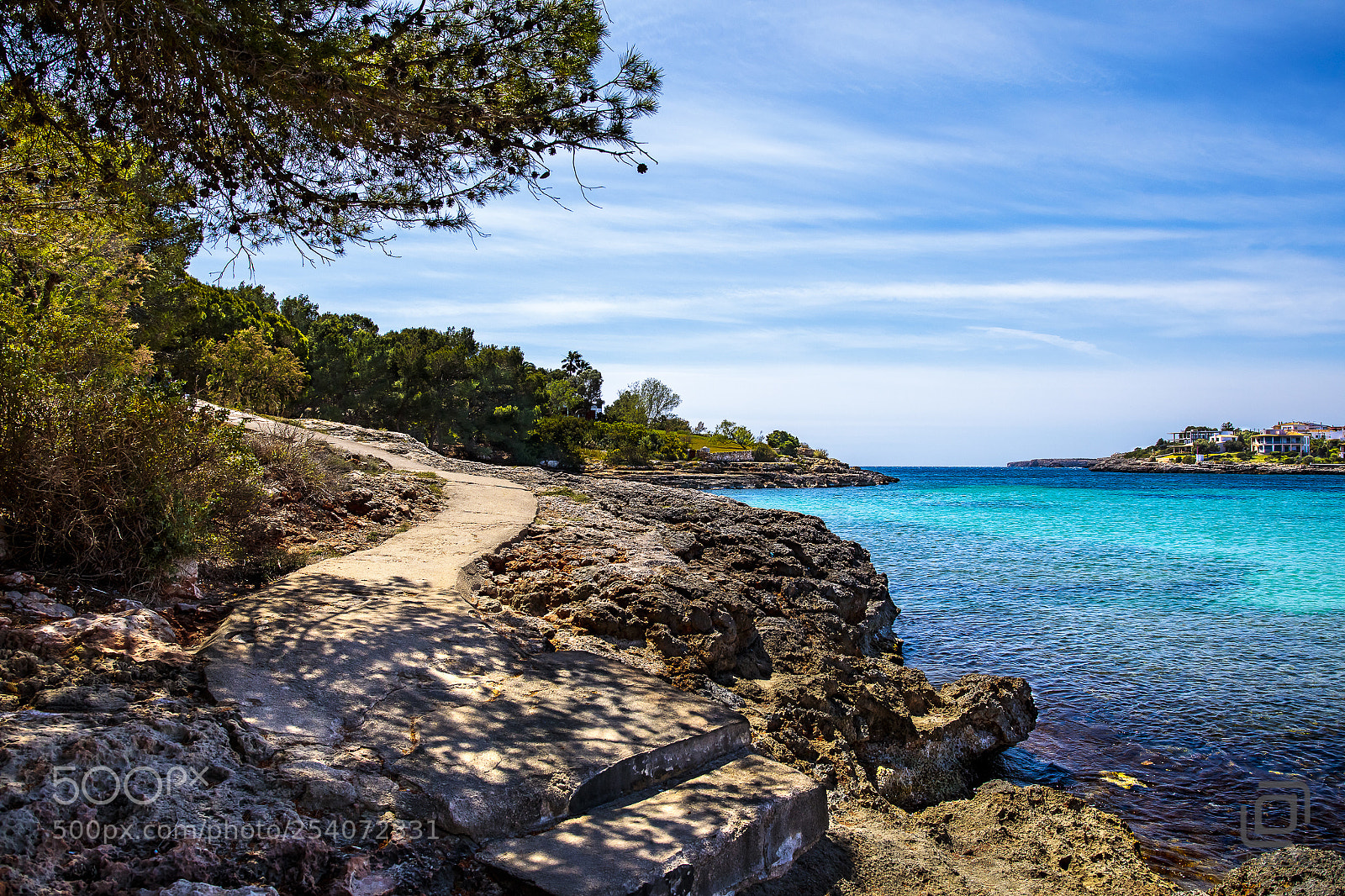 Canon EOS 5D Mark IV sample photo. Walk or swim? photography