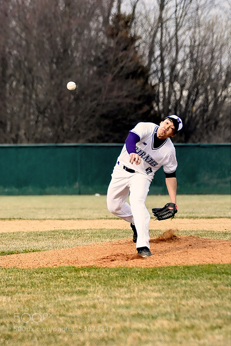 Nikon D500 sample photo. Baseball photography
