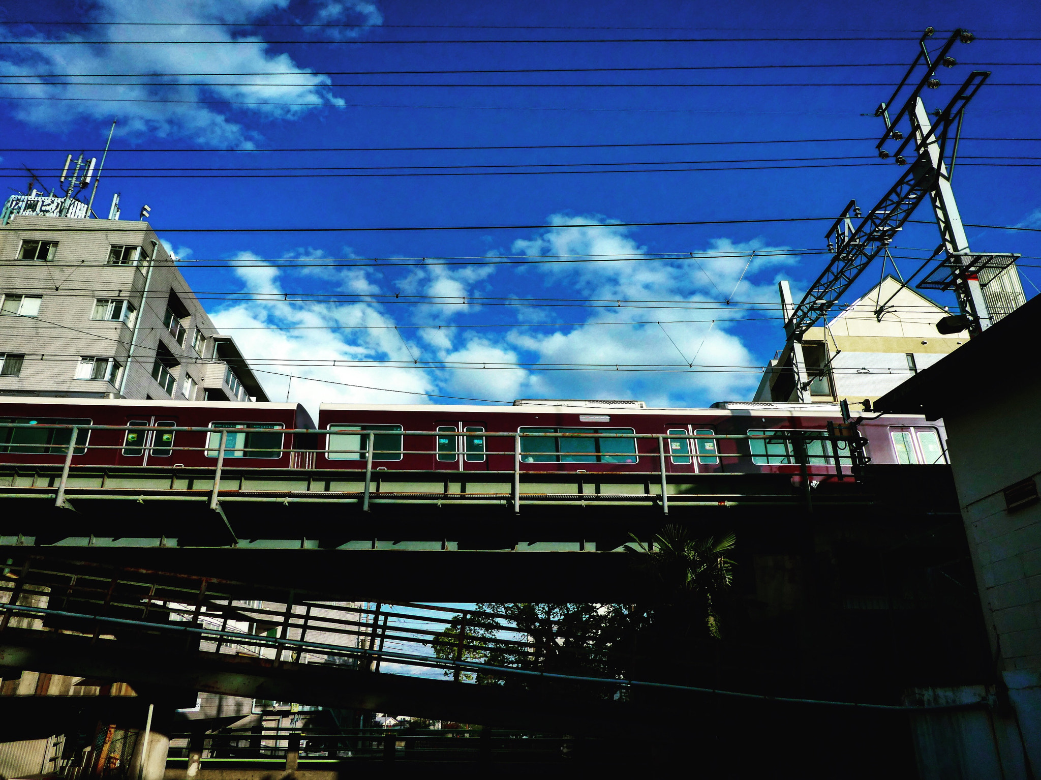 Panasonic DMC-TZ85 sample photo