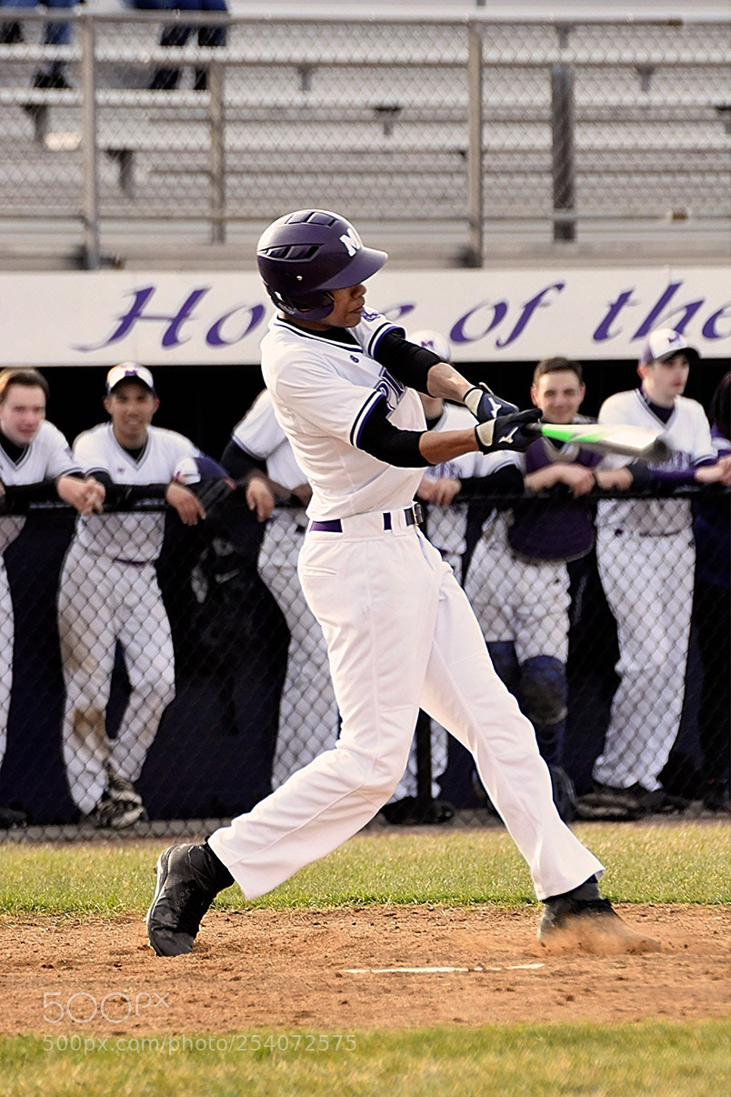 Nikon D500 sample photo. Baseball photography