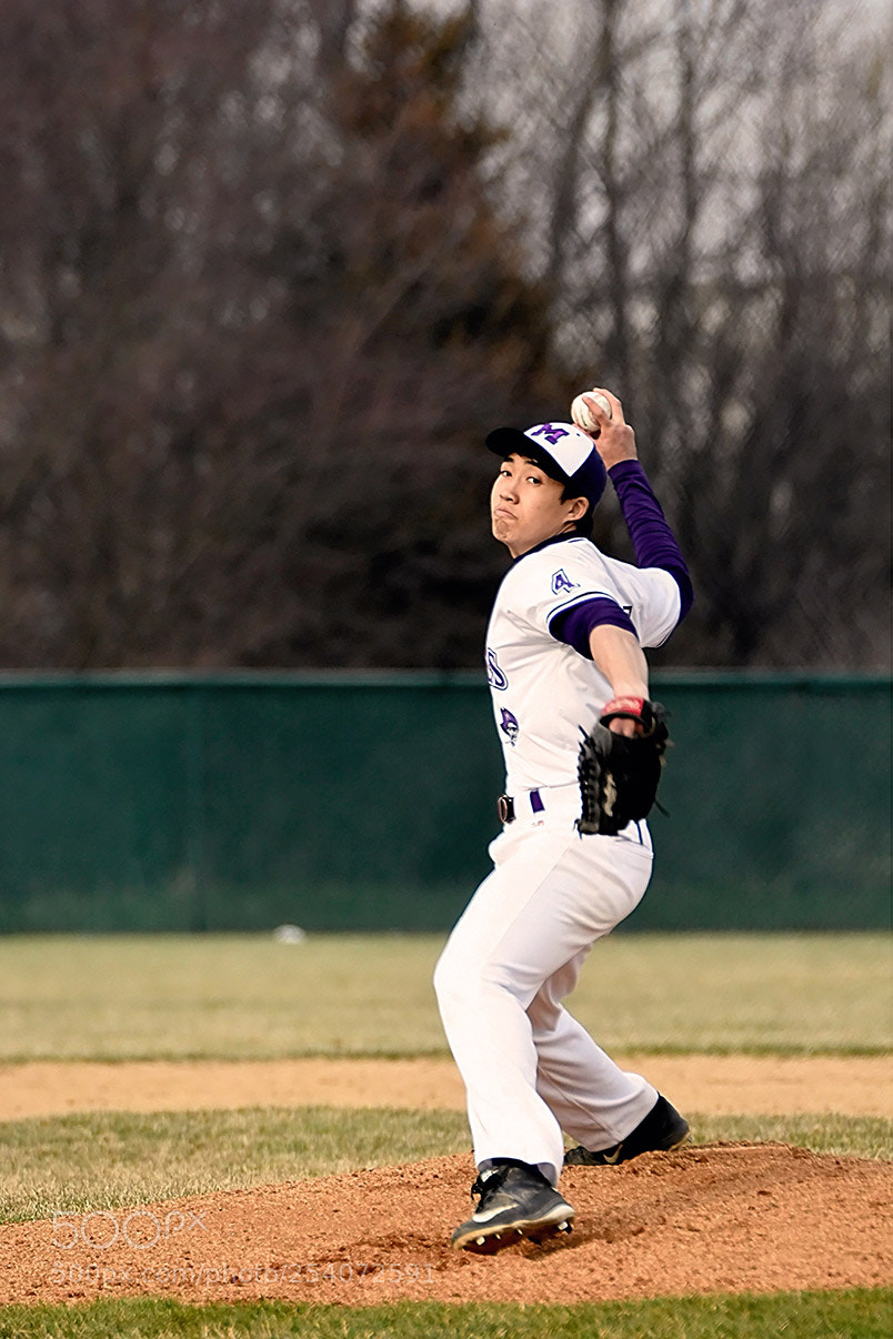 Nikon D500 sample photo. Baseball photography