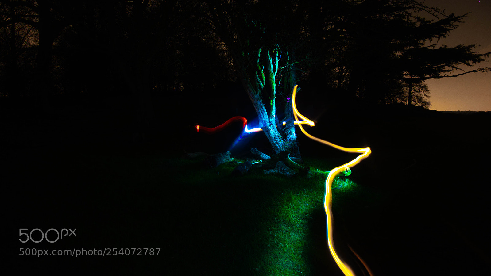 Nikon D600 sample photo. When the fairies came photography