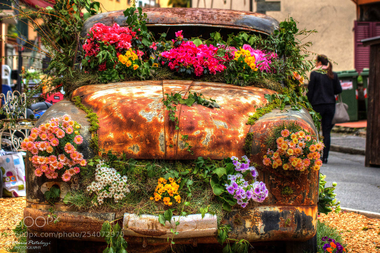 Canon EOS 700D (EOS Rebel T5i / EOS Kiss X7i) sample photo. Flower car photography