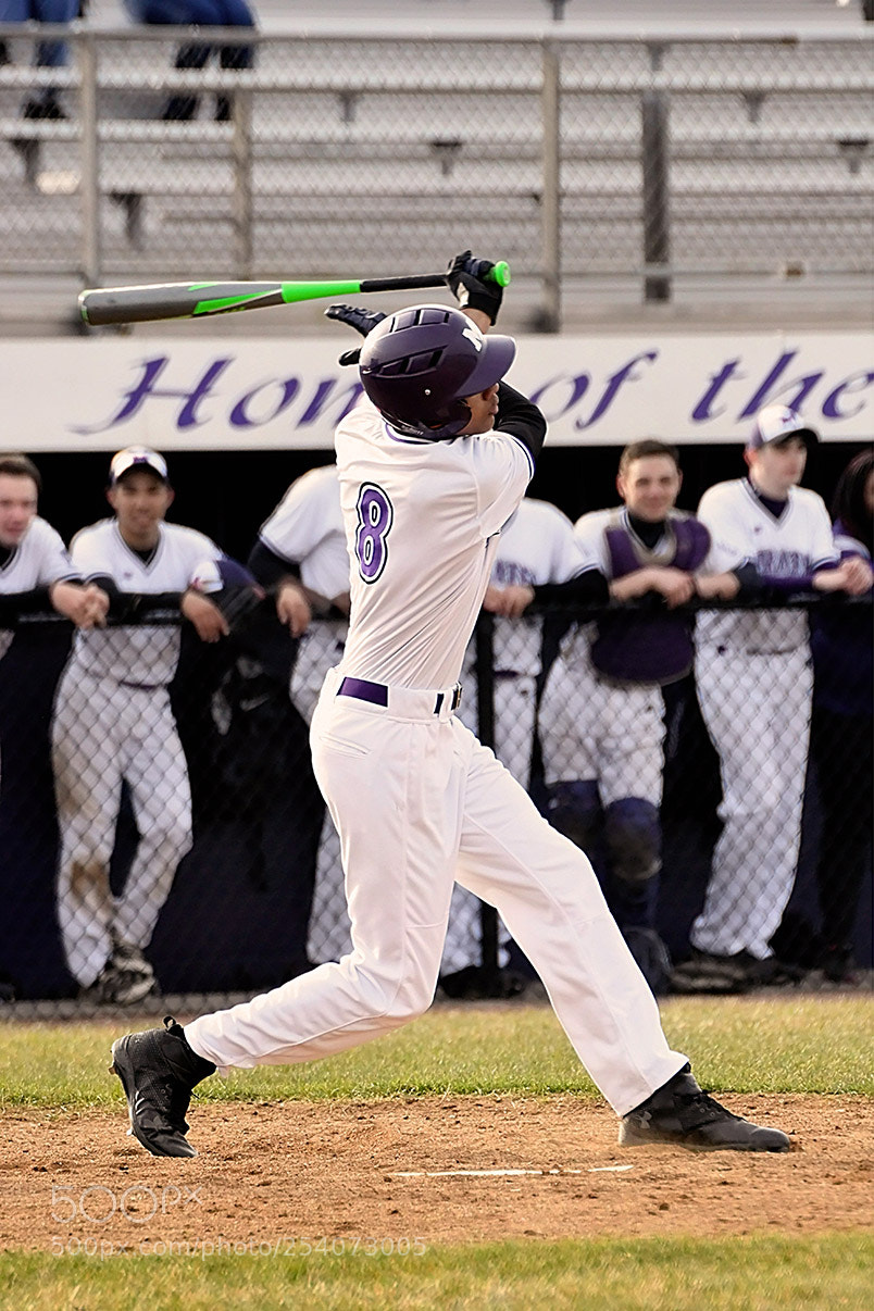Nikon D500 sample photo. Baseball photography