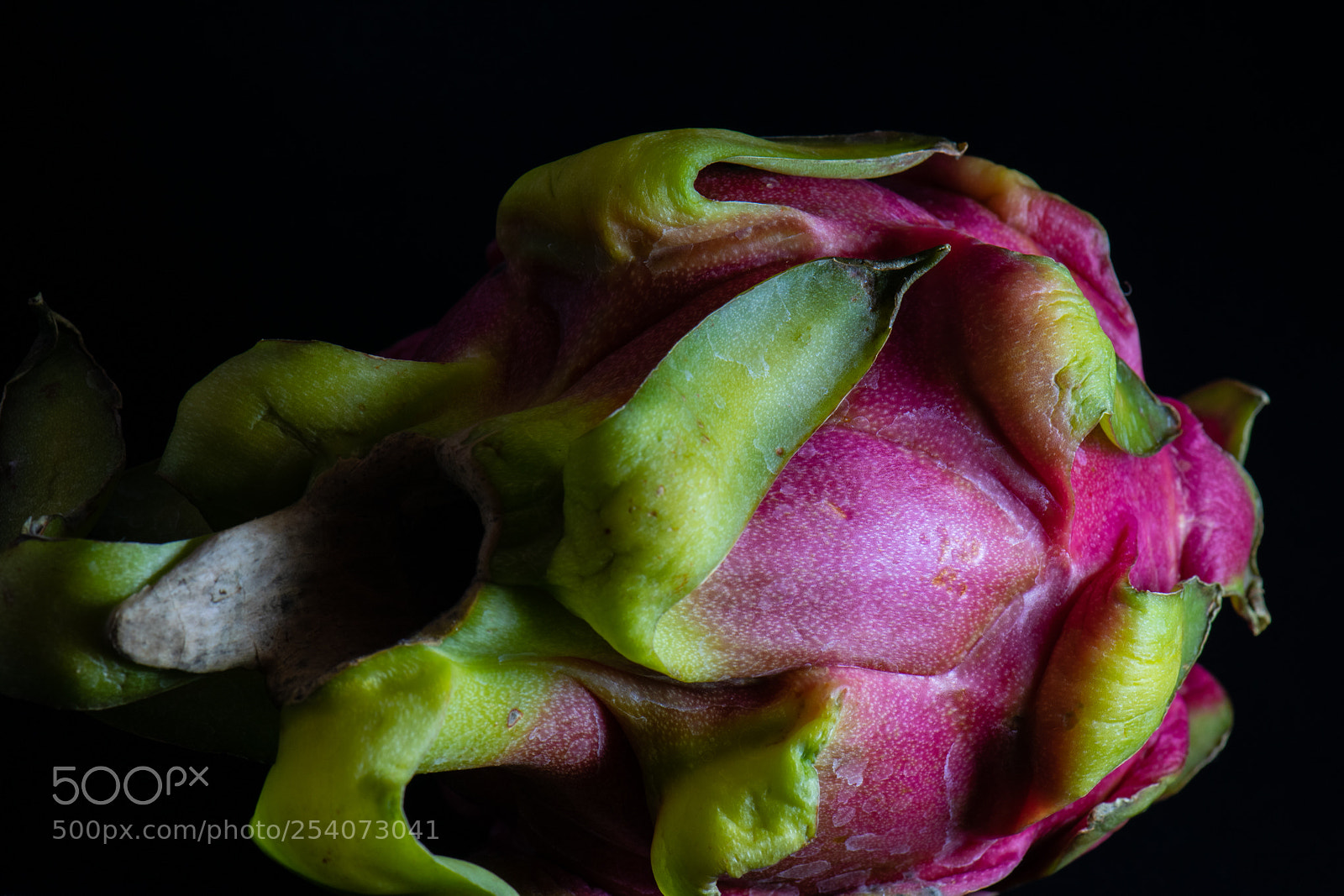 Nikon D5300 sample photo. Fruit of the dragon photography
