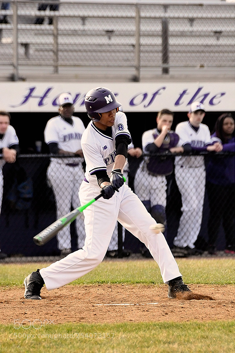 Nikon D500 sample photo. Baseball photography