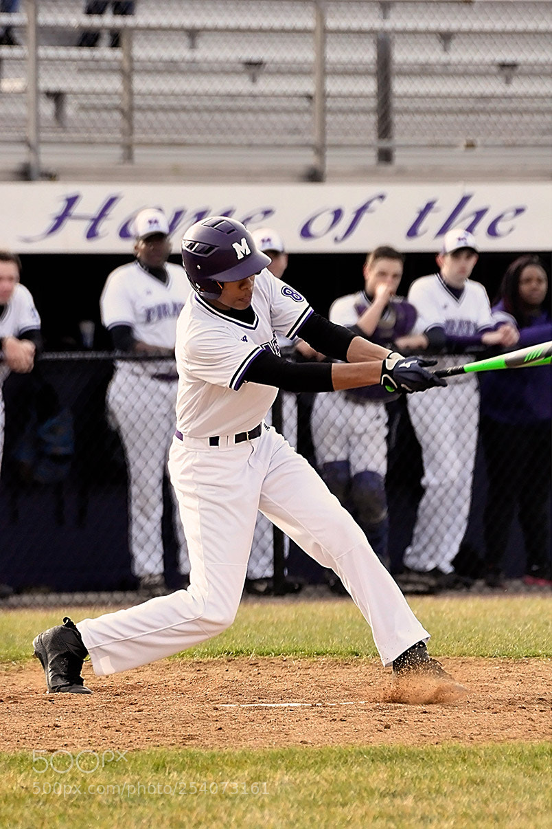 Nikon D500 sample photo. Baseball photography