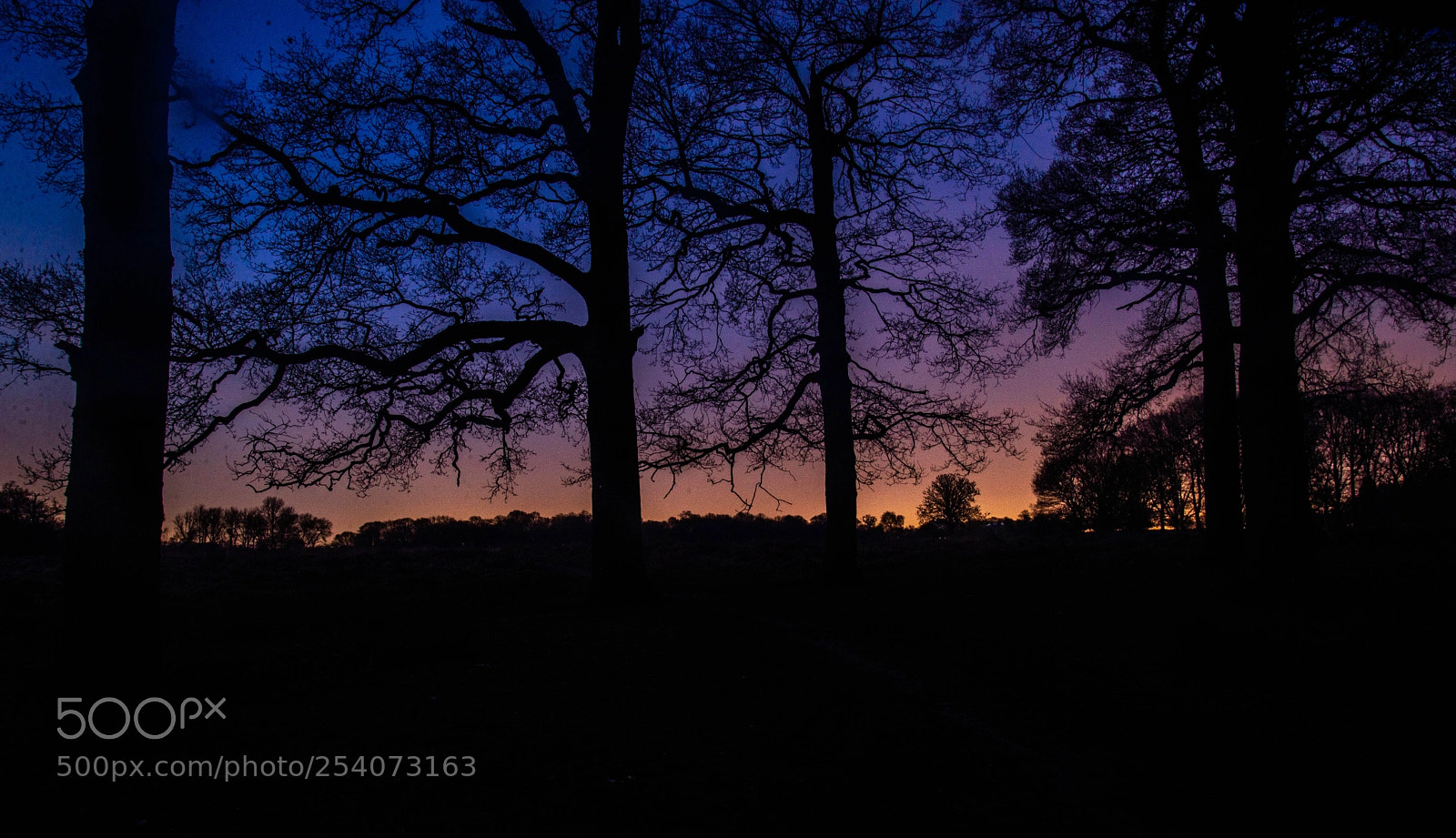 Nikon D600 sample photo. Darkness beckons photography