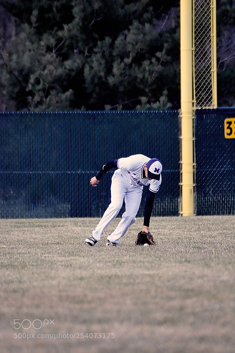 Nikon D500 sample photo. Baseball photography