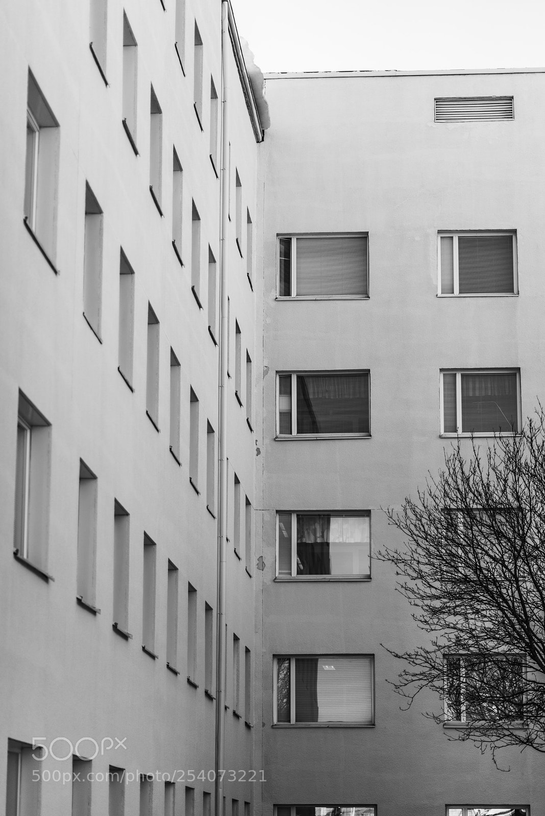 Nikon D600 sample photo. Hospital windows photography