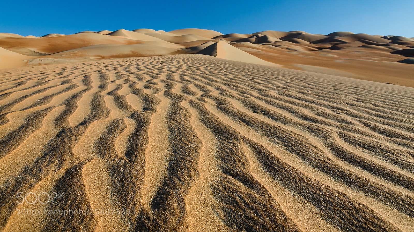 Nikon D7000 sample photo. Liwa desert photography